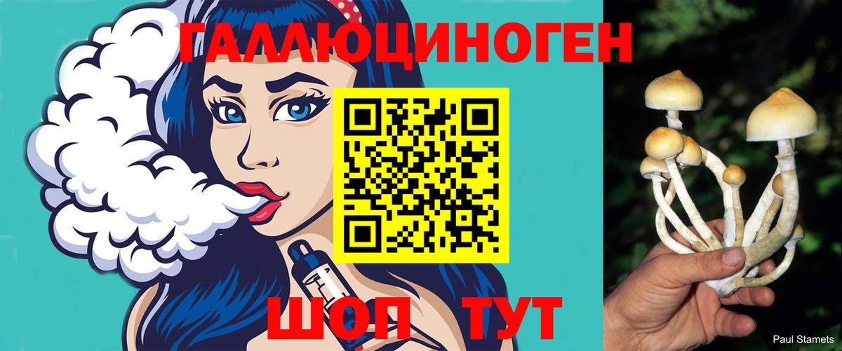 Галлюциногенные грибы MAGIC MUSHROOMS  Вход с VPN  Усть-Джегута  Псилоцибиновые грибы Psilocybine cubensis 
